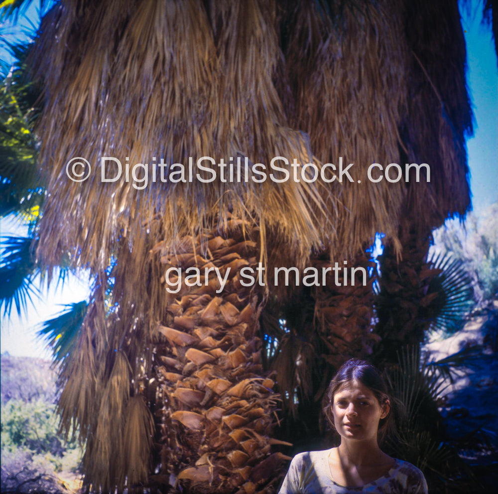 Portrait, Palm Tree background, Palm Desert, CA, Analog, Color, People, Women