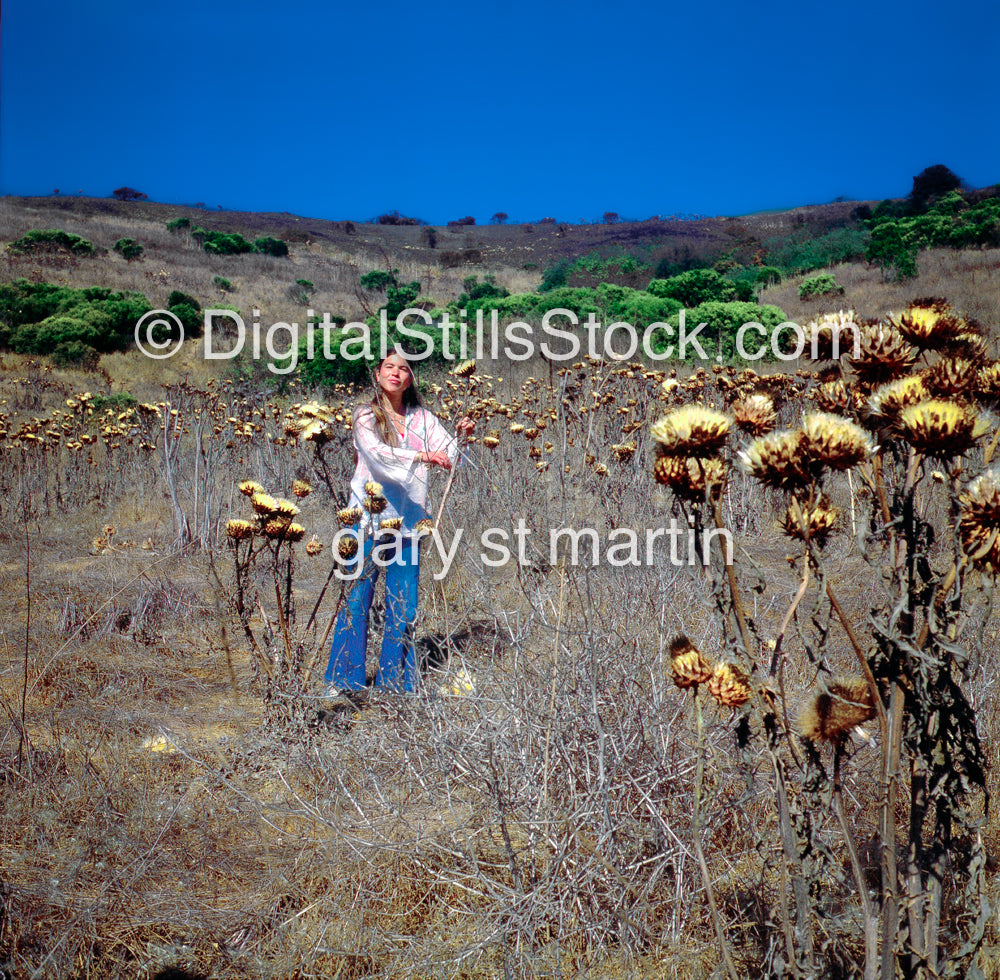 Carolyn Cavalier, Standing in a field of dried flowers, CA, Analog, Color, People, Women