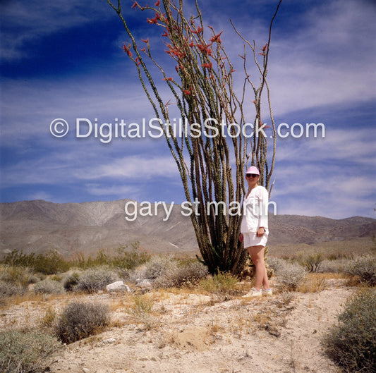 Kerry in the Desert, Palm Springs, CA, Analog, Color, Portraits Women