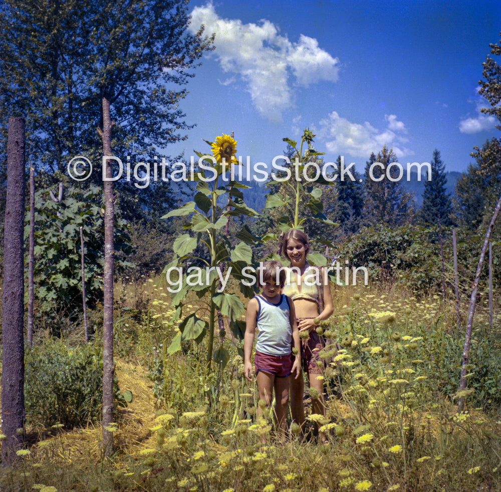 Barbara and Chris Posing in The Tall Sunflowers, McKenzie Bridge Oregon, Analog, Color, Portraits, Groups