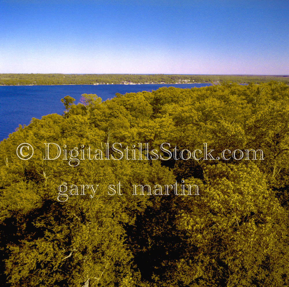 Trees against Lake Superior, Analog, Color, Michigan