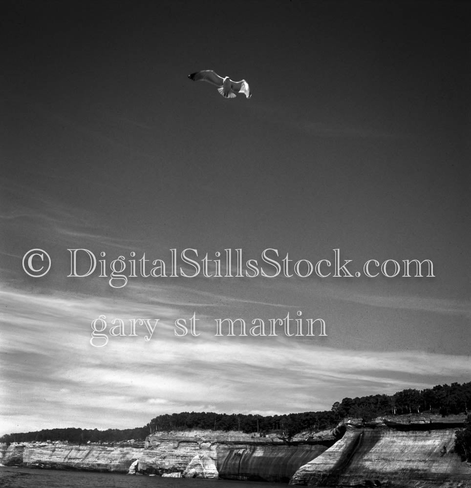 Seagulls in the sky, Pictured Rocks, Munising., UP Michigan B & W, Analog, Color, Michigan