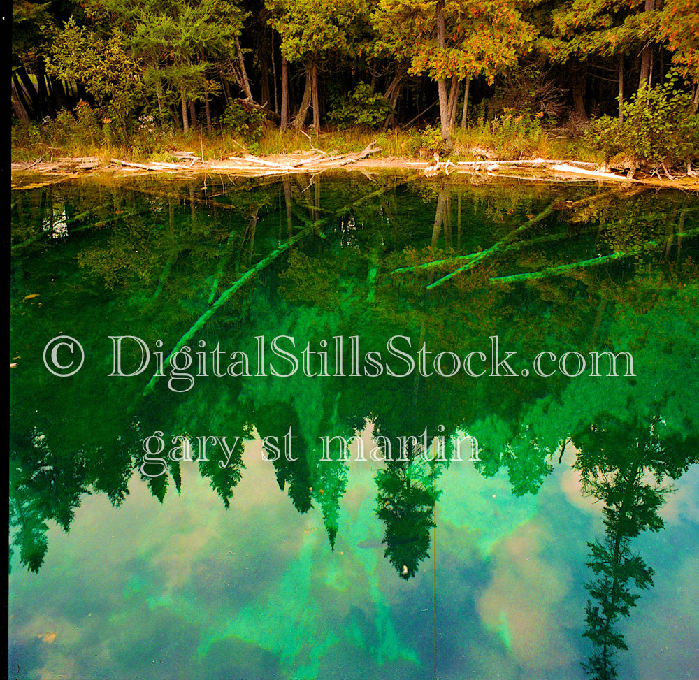 Reflections of clouds and trees in the green water, Big Springs, digital Big Springs