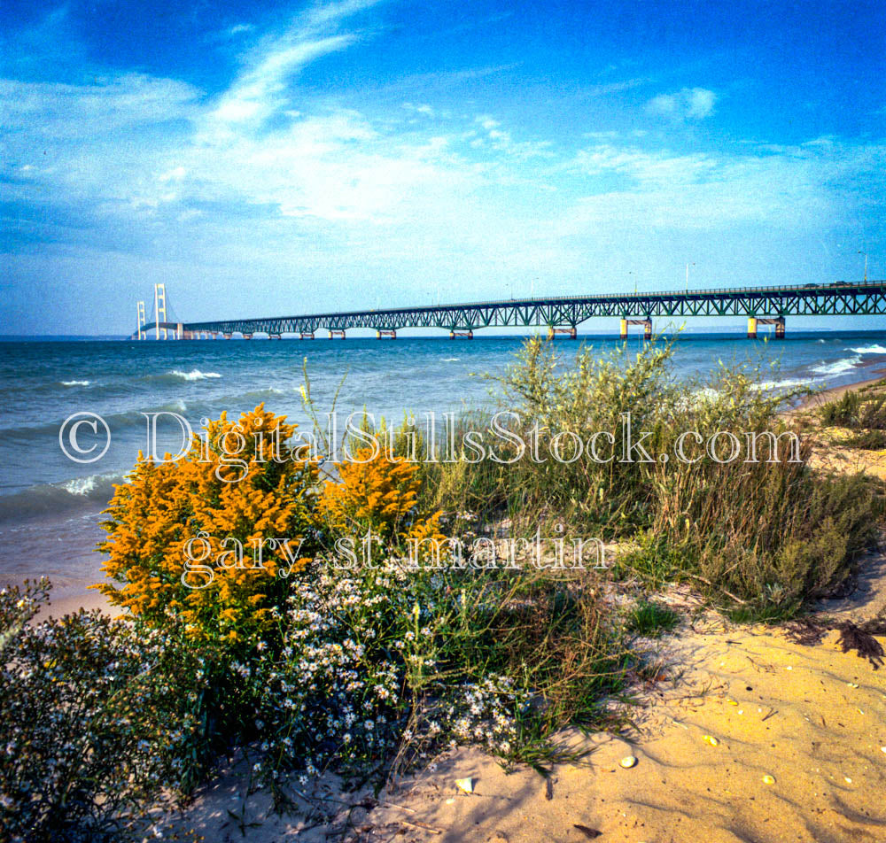 Mackinac Bridge, Analog, Color, Michigan