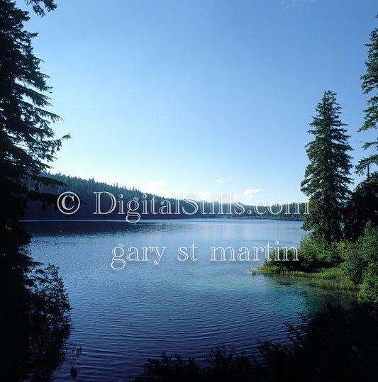 Serene view of the Willamette River, analog oregon