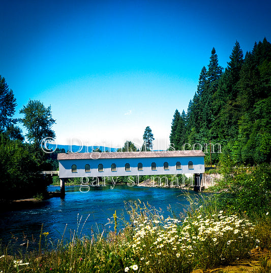 Good Pastor Bridge over the Willamette River, analog, Oregon