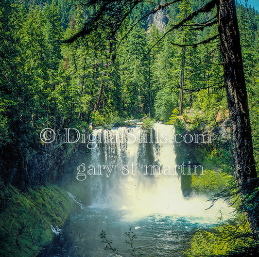 Sahalie Waterfall surrounded by green pine trees, analog oregon