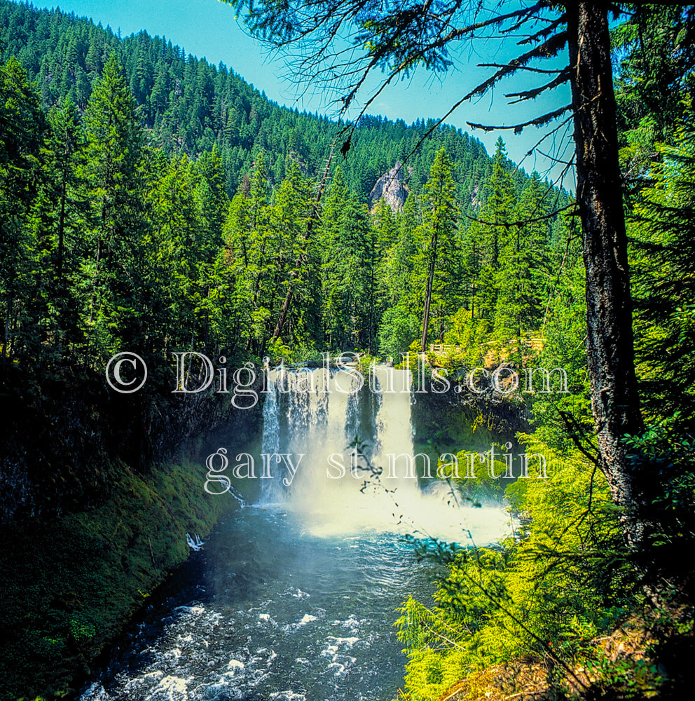 Shale Falls going into the river, analog, oregon