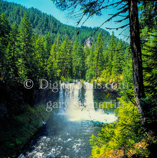 Shale Falls going into the river, analog oregon