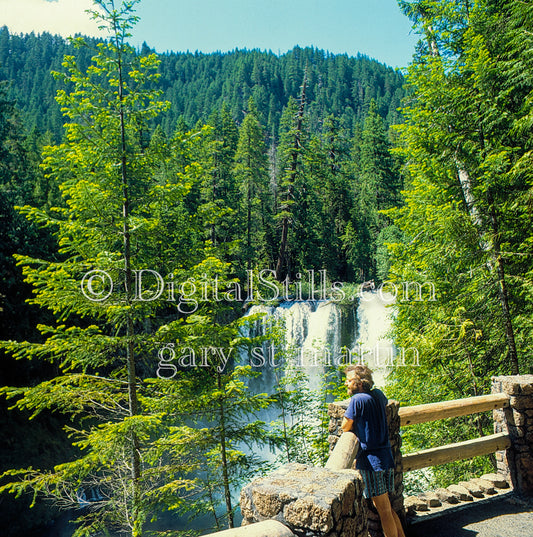 David looking at Shahalie Water Falls, analog Oregon