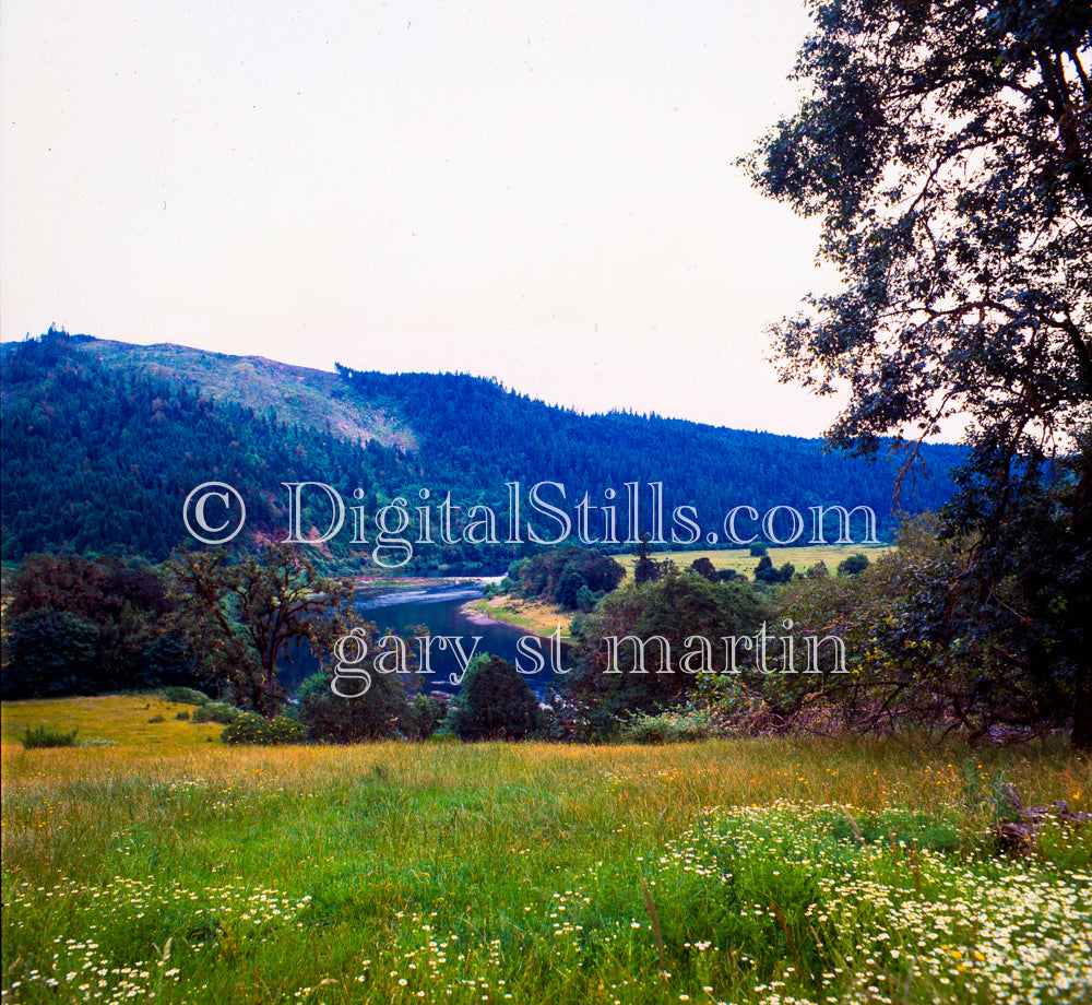 Meadow looking over the Willamette River, analog Oregon