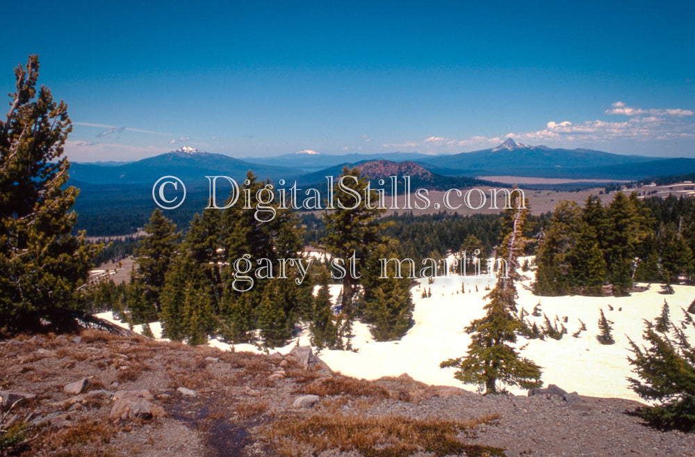 Lassen Peak Background with Evergreens Foreground, Oregon, analog