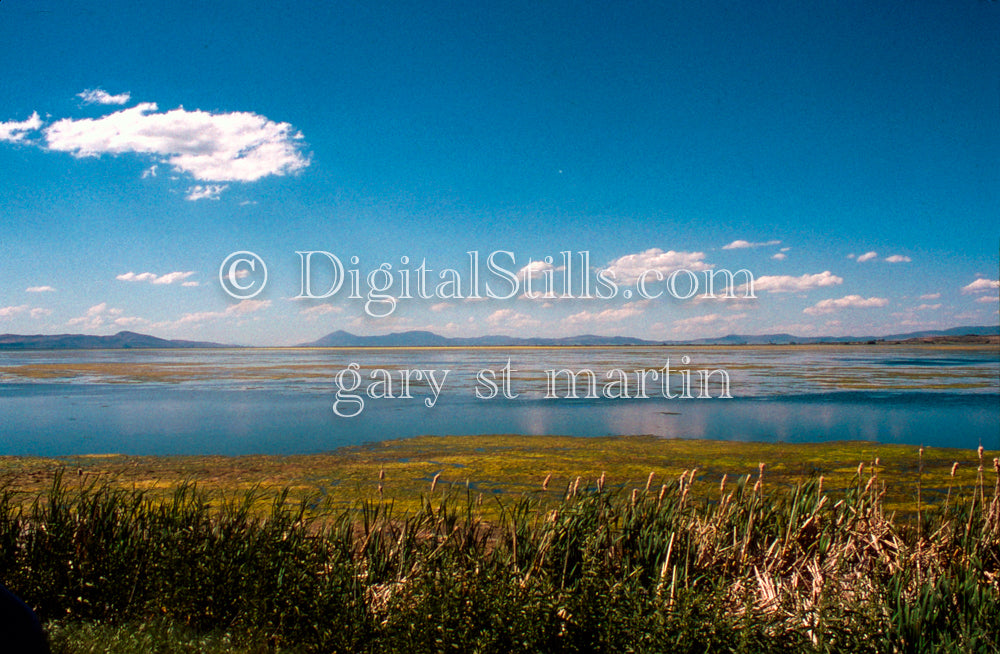 Calm lake view at Klamath Falls, analog ORegon