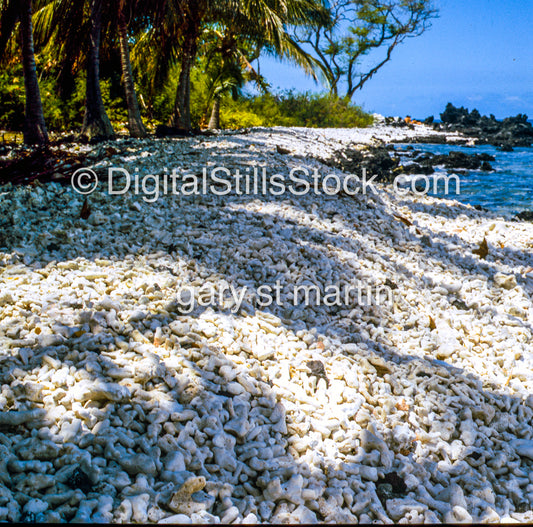 Manini Beach Coral, Hawaii, Analog