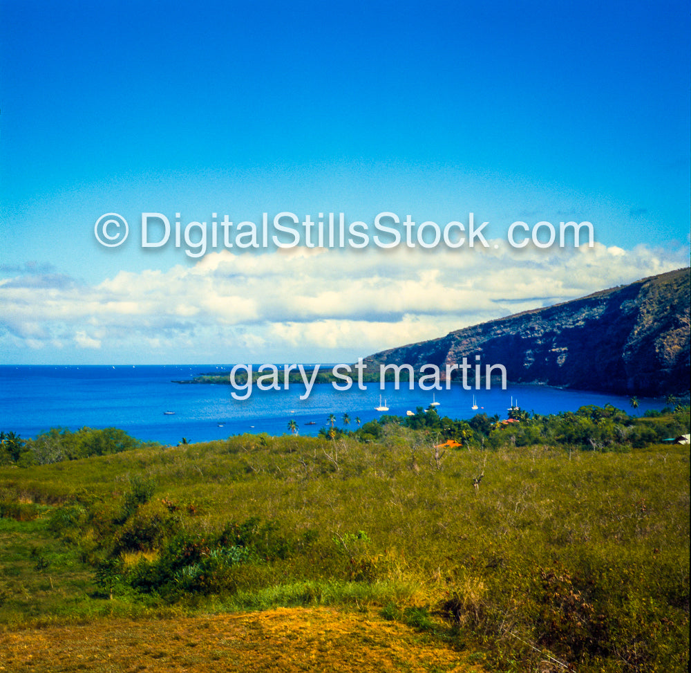 Captain Cook's Harbor, Hawaii, Analog