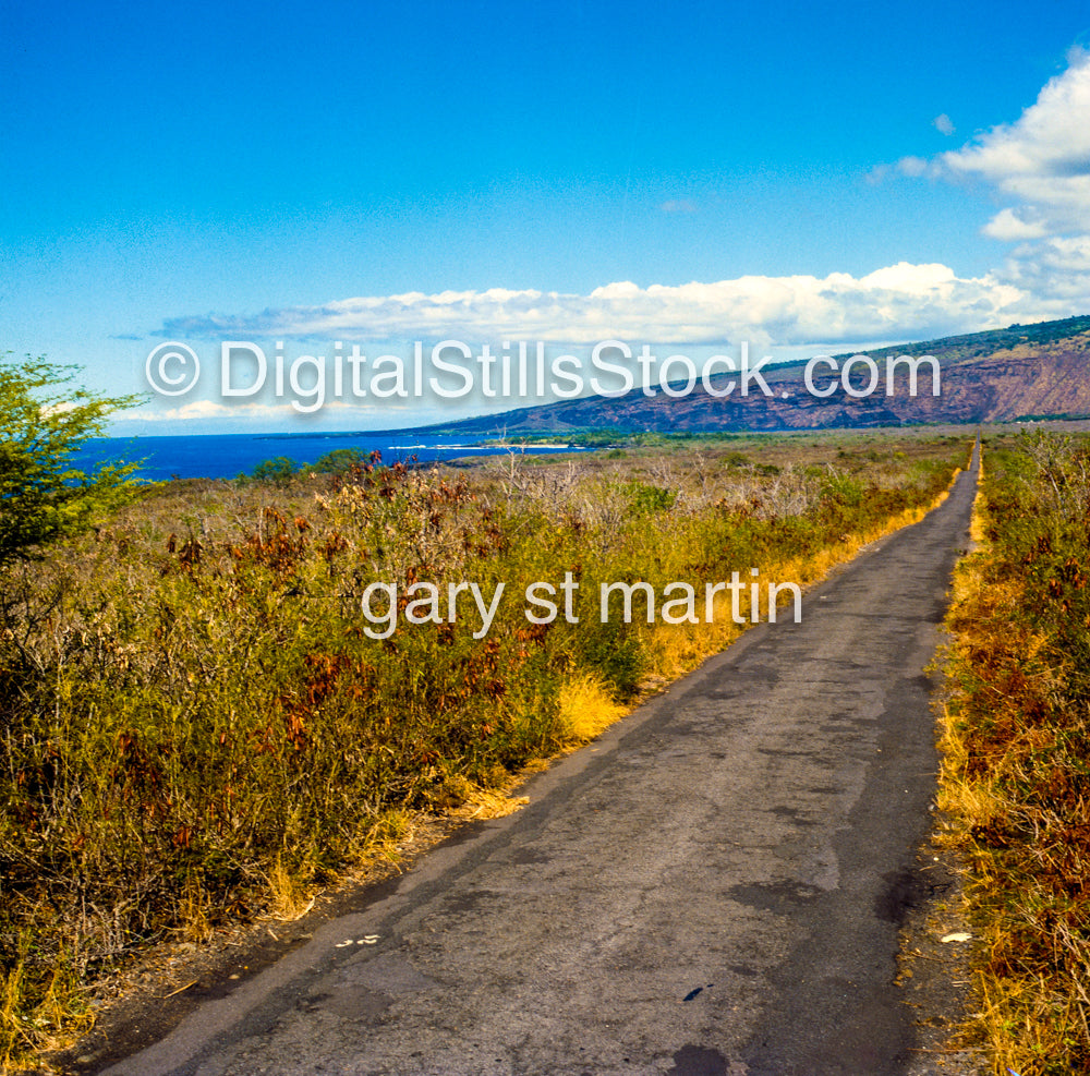 Road along Kealakekua Bay, Hawaii, Analog