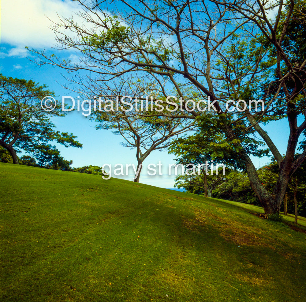 Club at Hokulia Golf Course, Hawaii, Analog