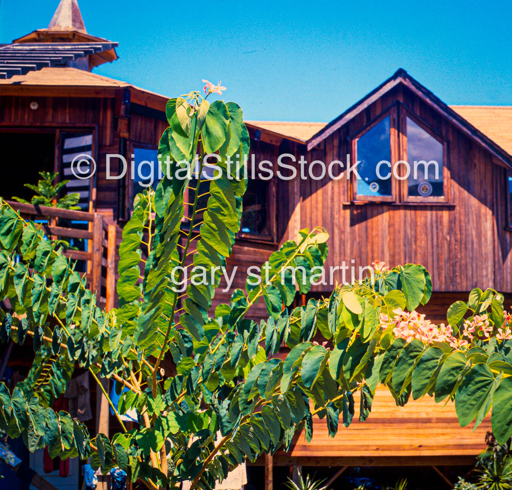 Exterior of Octagon House, Hawaii, Analog