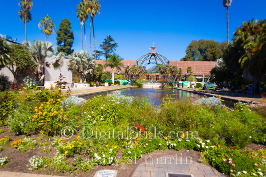 Balboa Botanical Garden