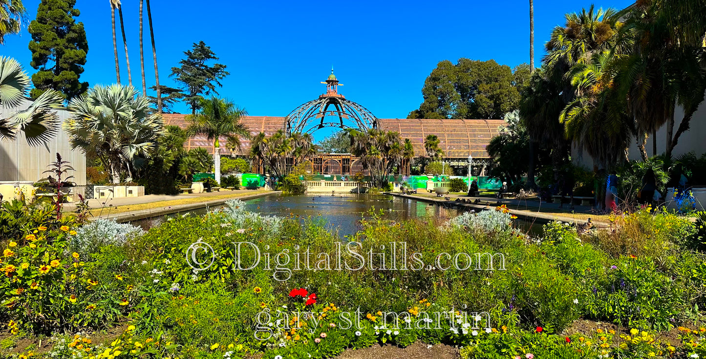 Balboa Park Pond