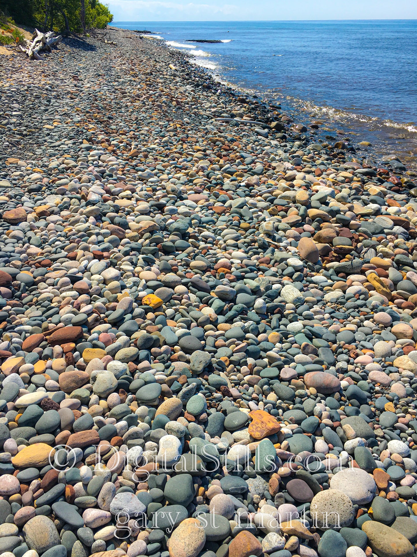 Rocky Shores