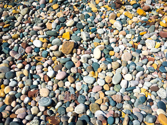 The Rocky Shore-Landscape