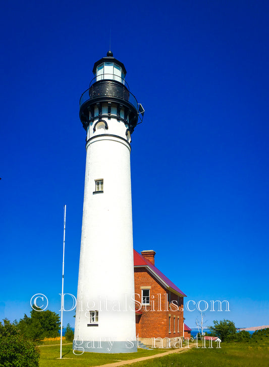 The Lighthouse Portrait