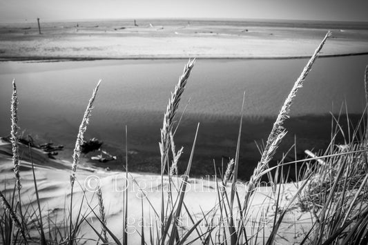 Lake Superior Black and White