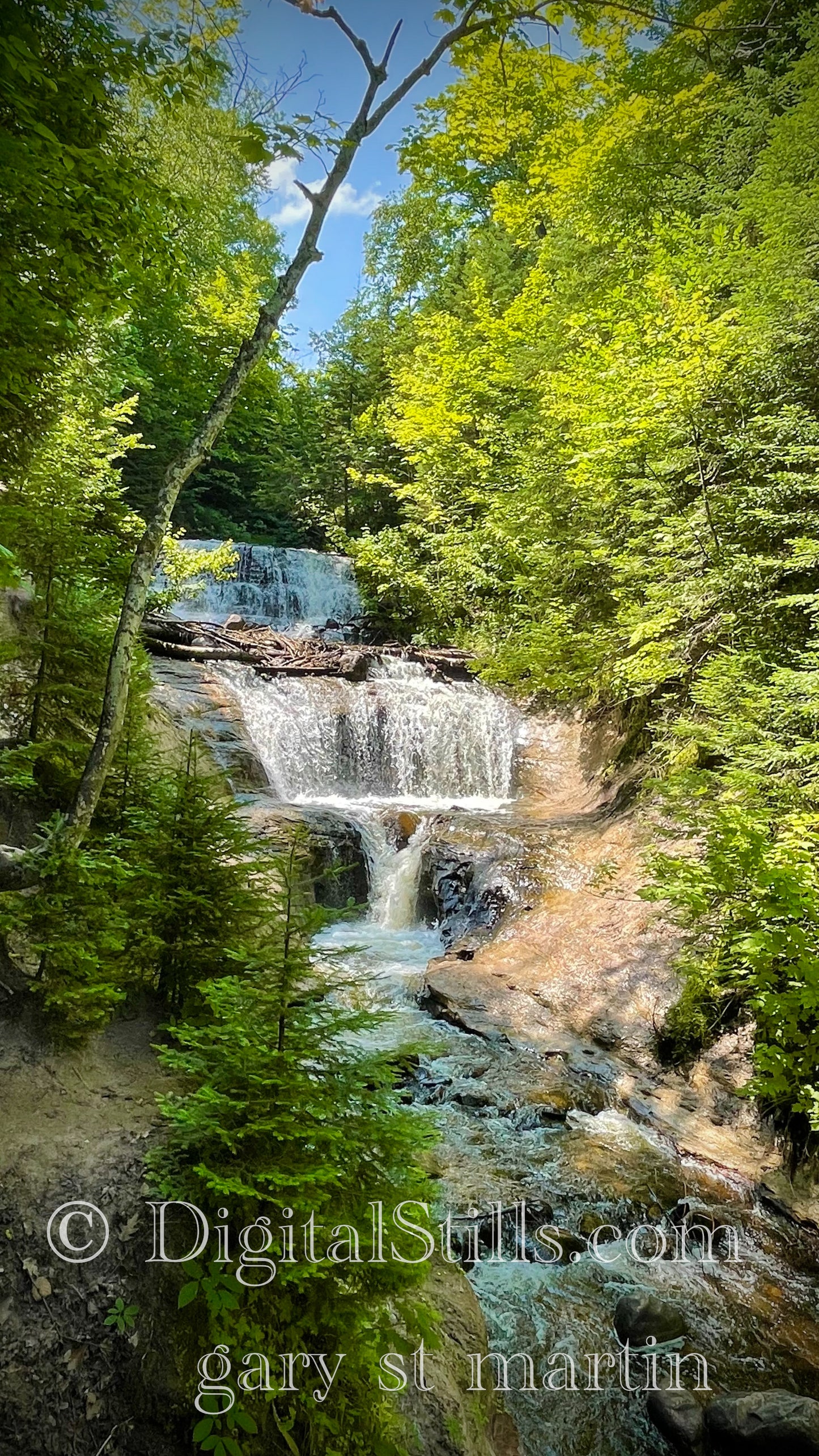 Portrait of Sable Falls