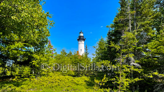 Lighthouse in the Trees