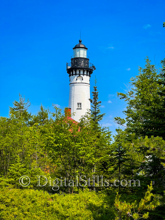 Lighthouse Hidden in the Trees