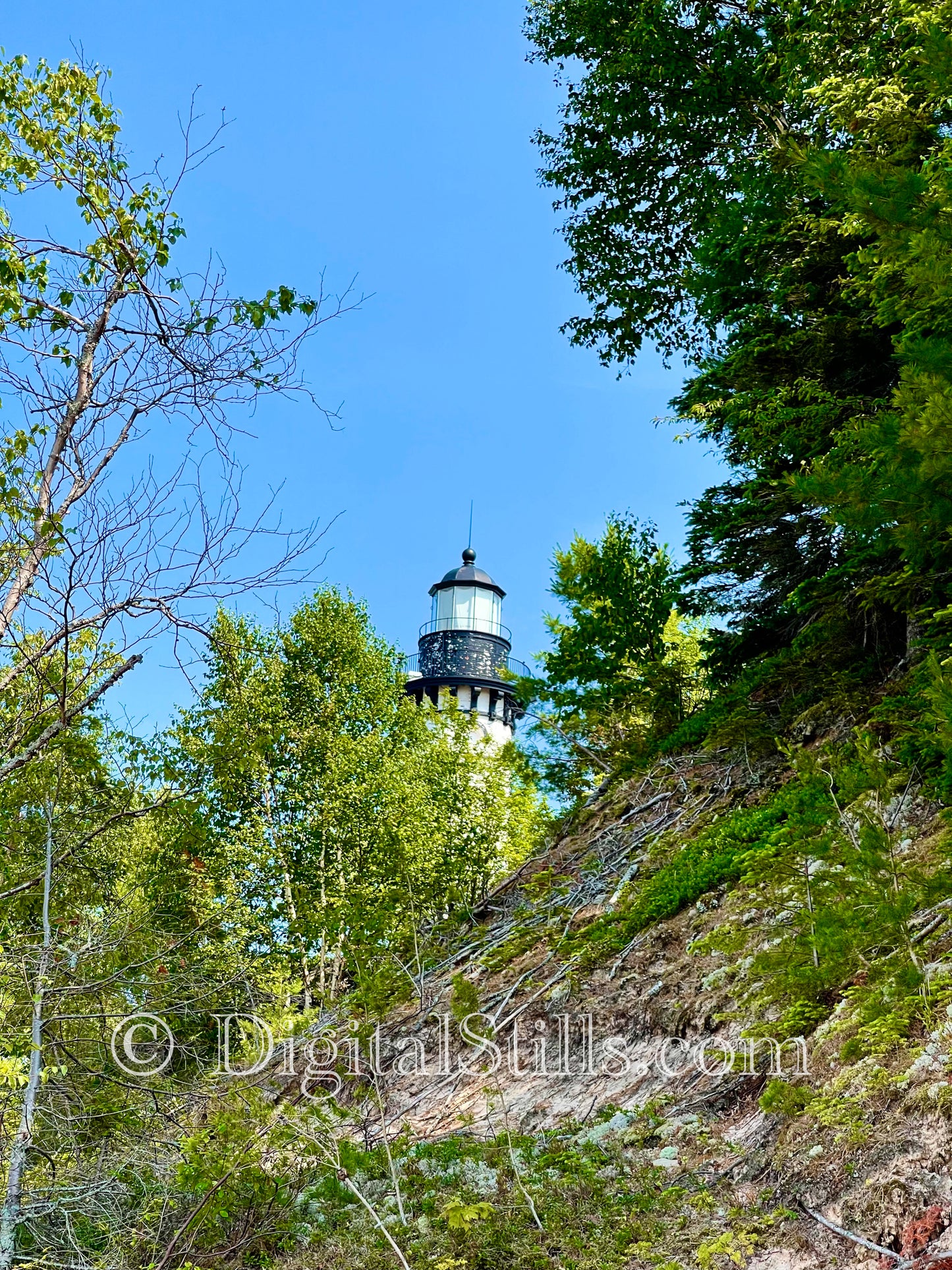 Finding the Lighthouse