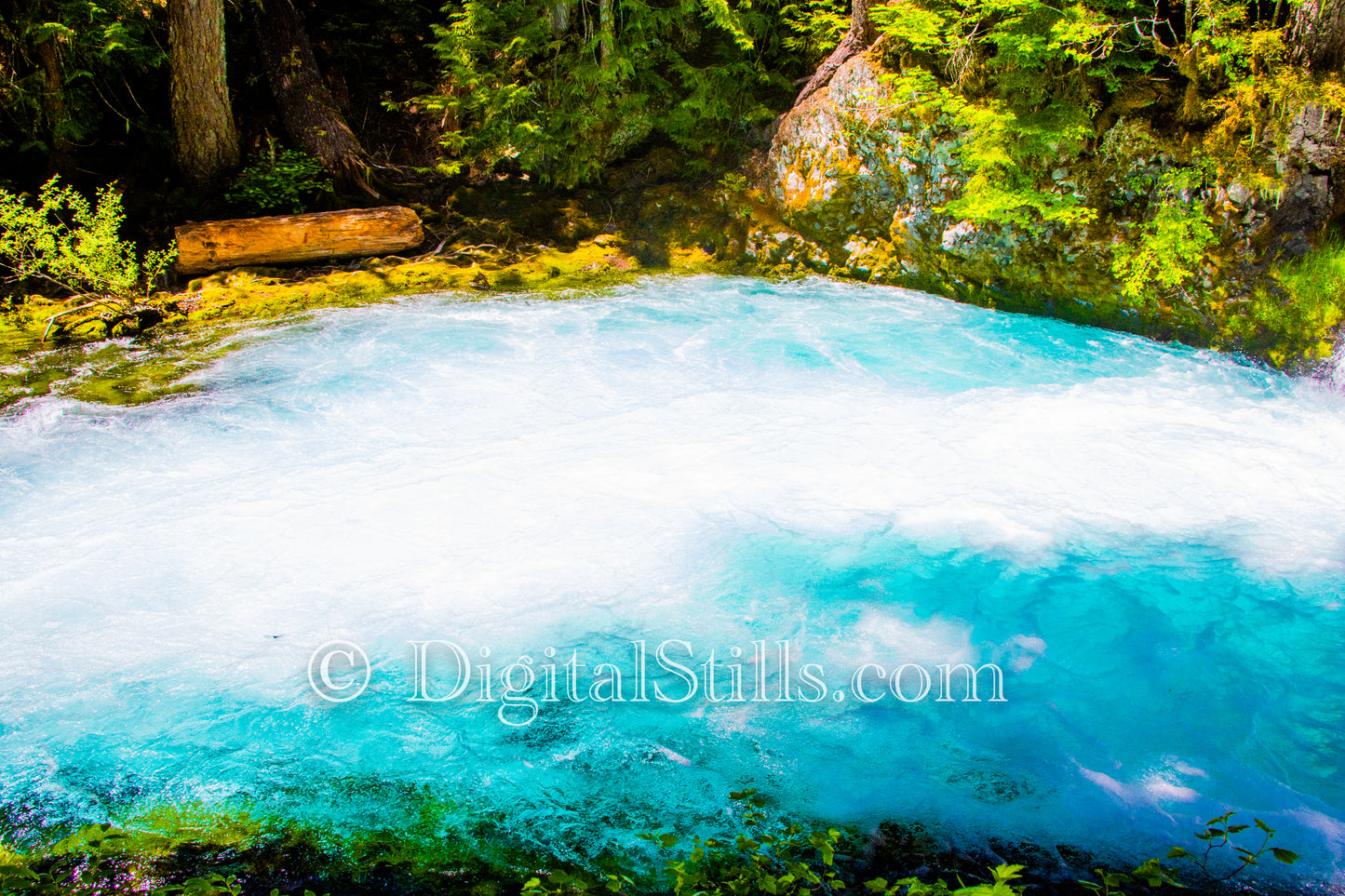 The Fresh Blue Water of Sahalie Falls