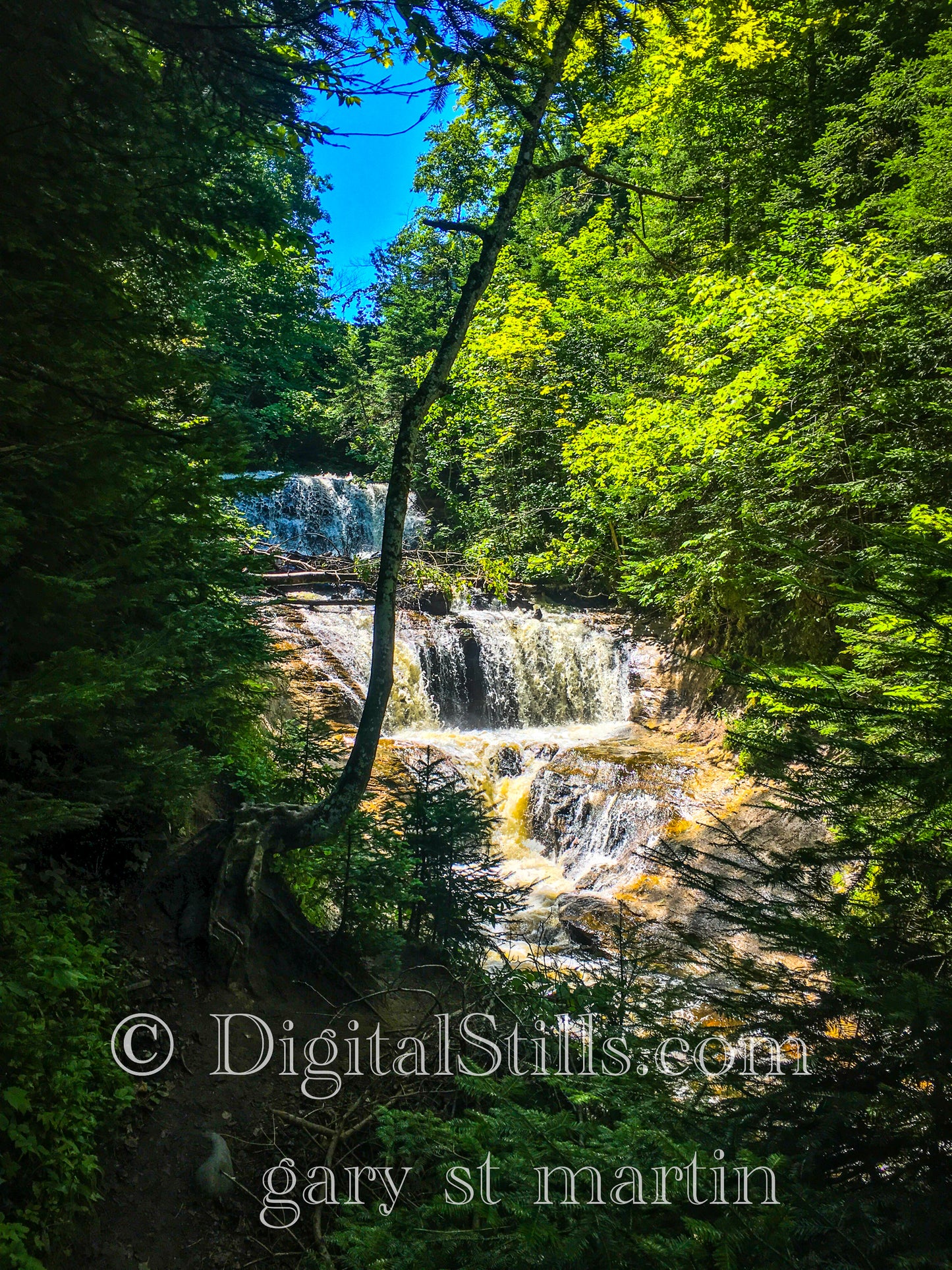 Sable Falls with Greenery