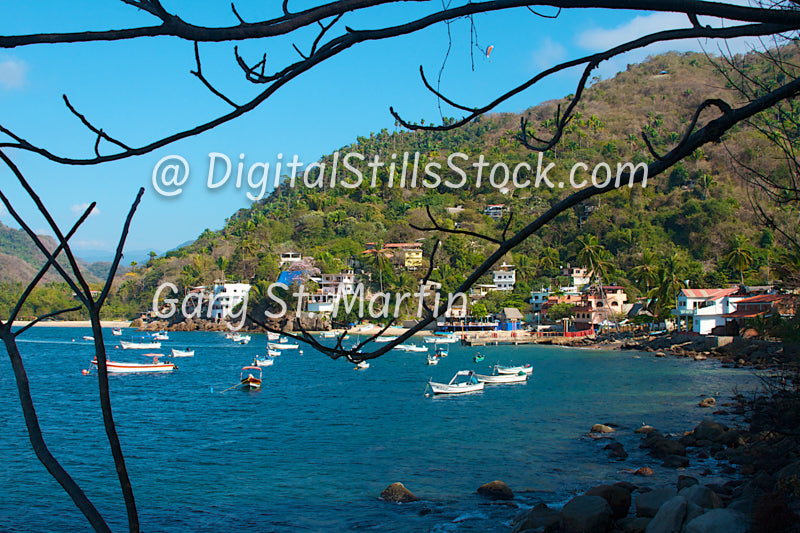 Yelapa-The Village Through the Branches