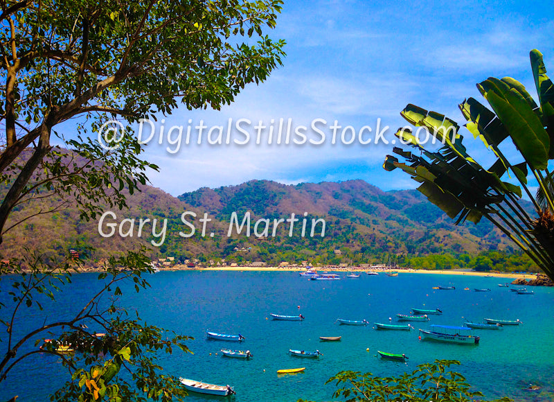 Along the Shore, Through the Palm, Yelapa, Mexico, digital