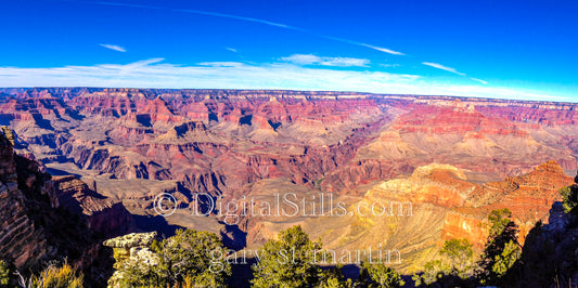 Grand Canyon, Trees along the Edge, Wide View